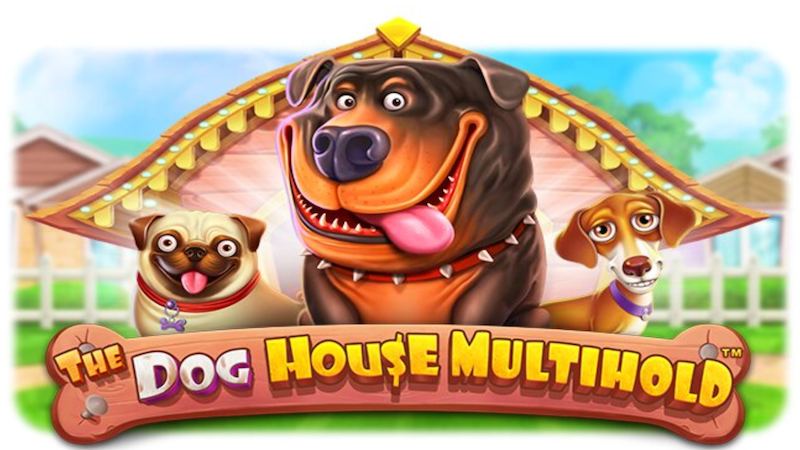 Exploring the Game: Dog House - A Detailed Overview